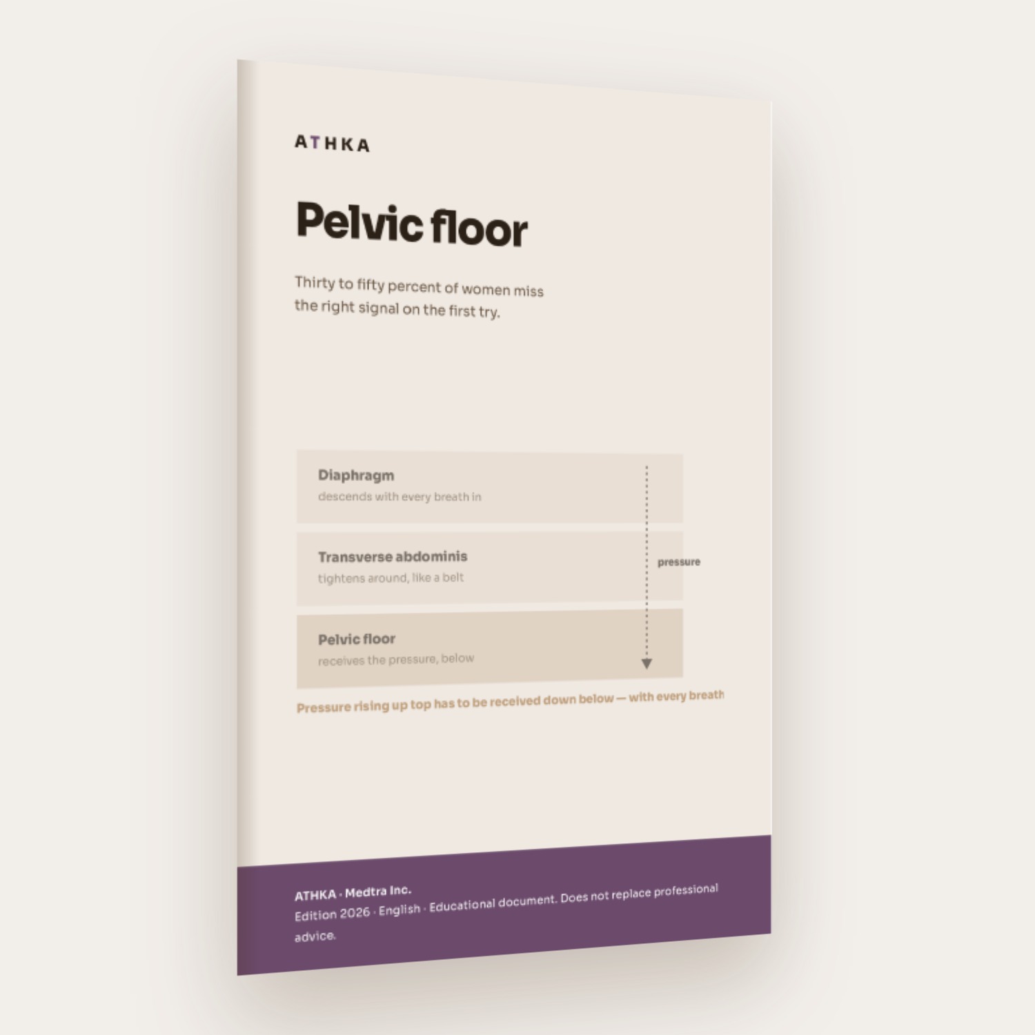 Pelvic floor